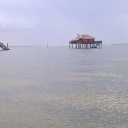 Balsamo Daire Arcachon