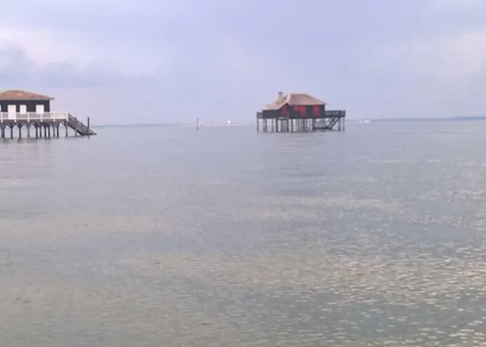 Balsamo Daire Arcachon